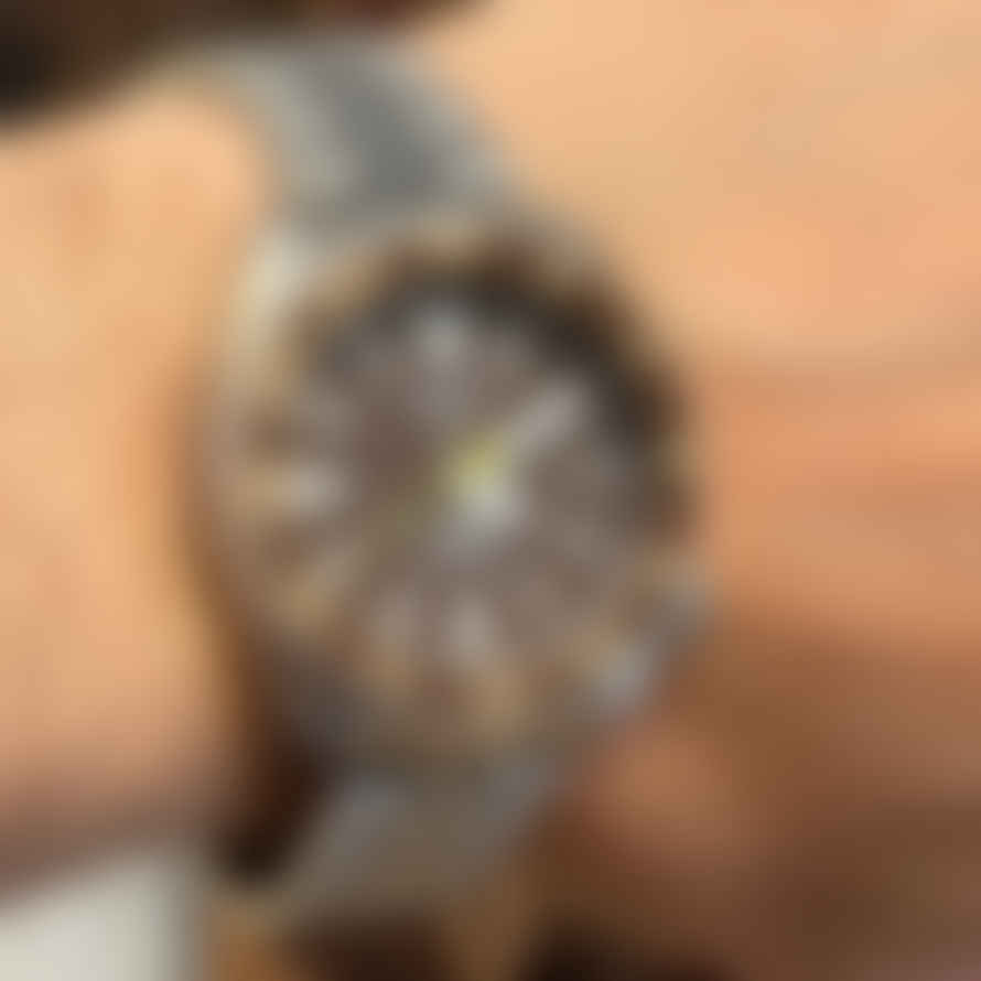 Seiko Vintage 7002-7000 Mod Padi Brown