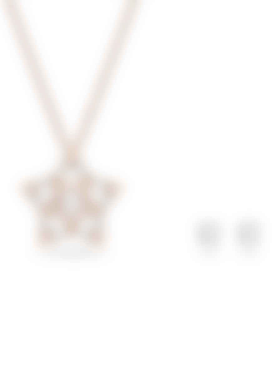 Swarovski Rose Gold and Crystal Stella Necklace and Earrings Set