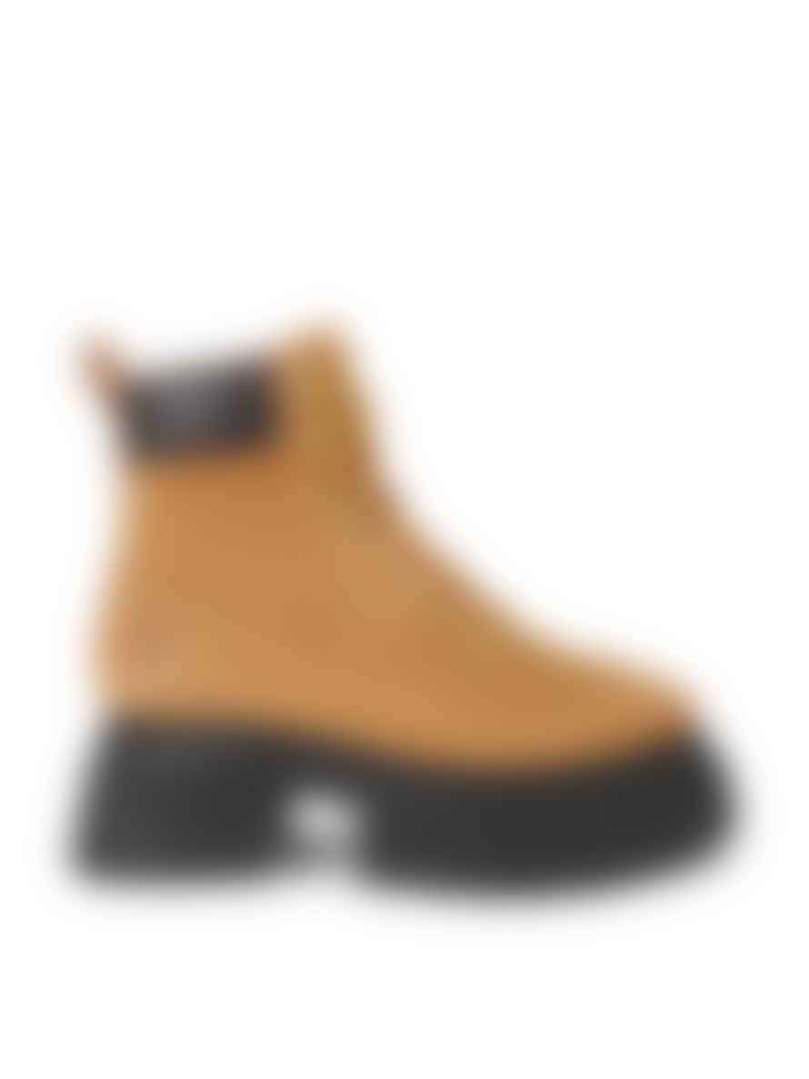 Timberland 6inch Wheat Sky Lace Up Boots