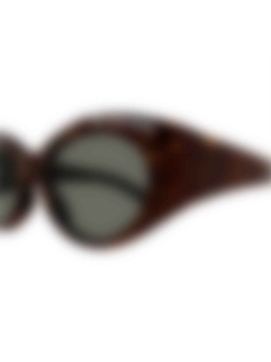 Balenciaga Brown BB0267 Sunglasses