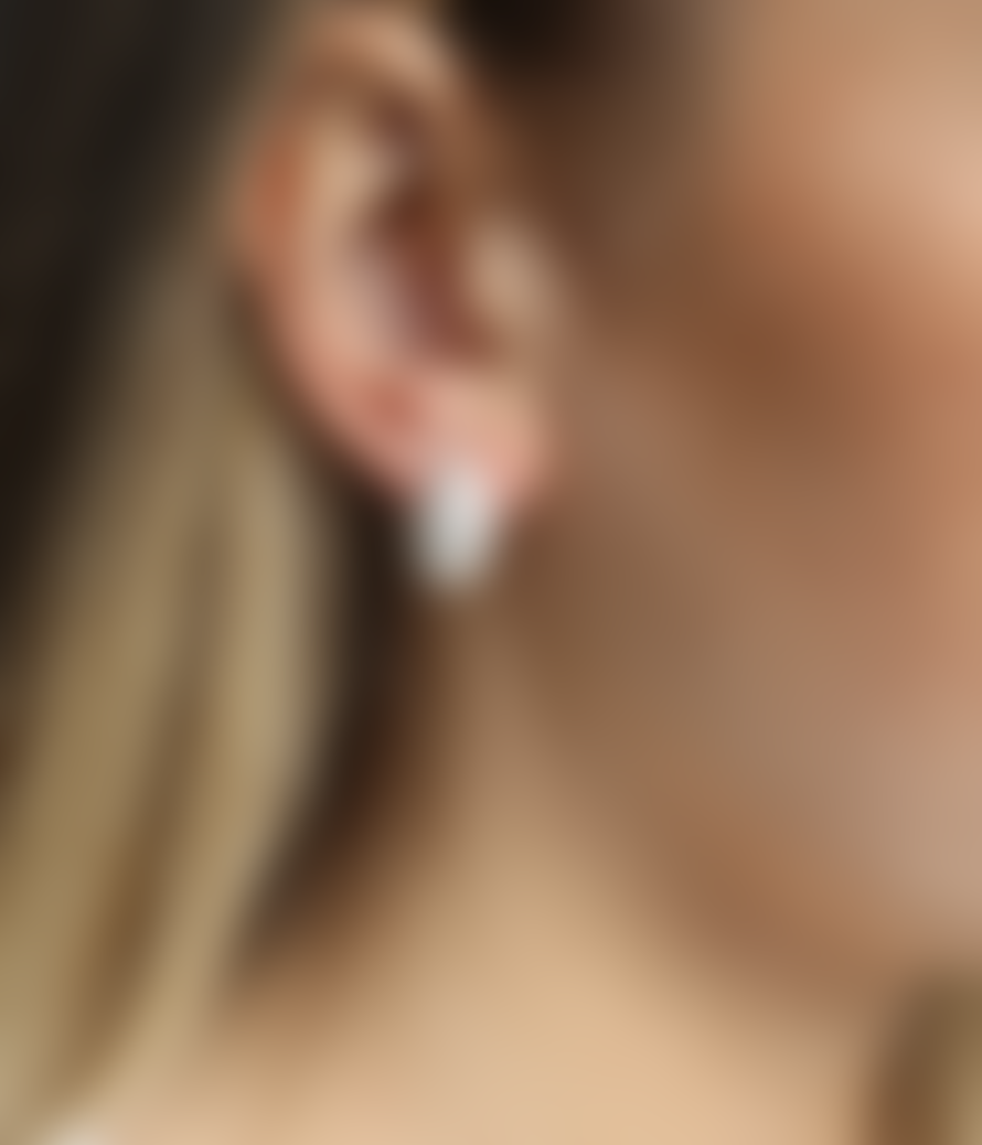 Tutti & Co Silver Still Earrings