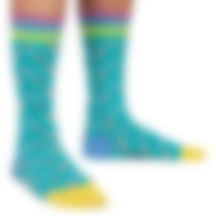 DillySocks Rainbow-Daydream-Socken