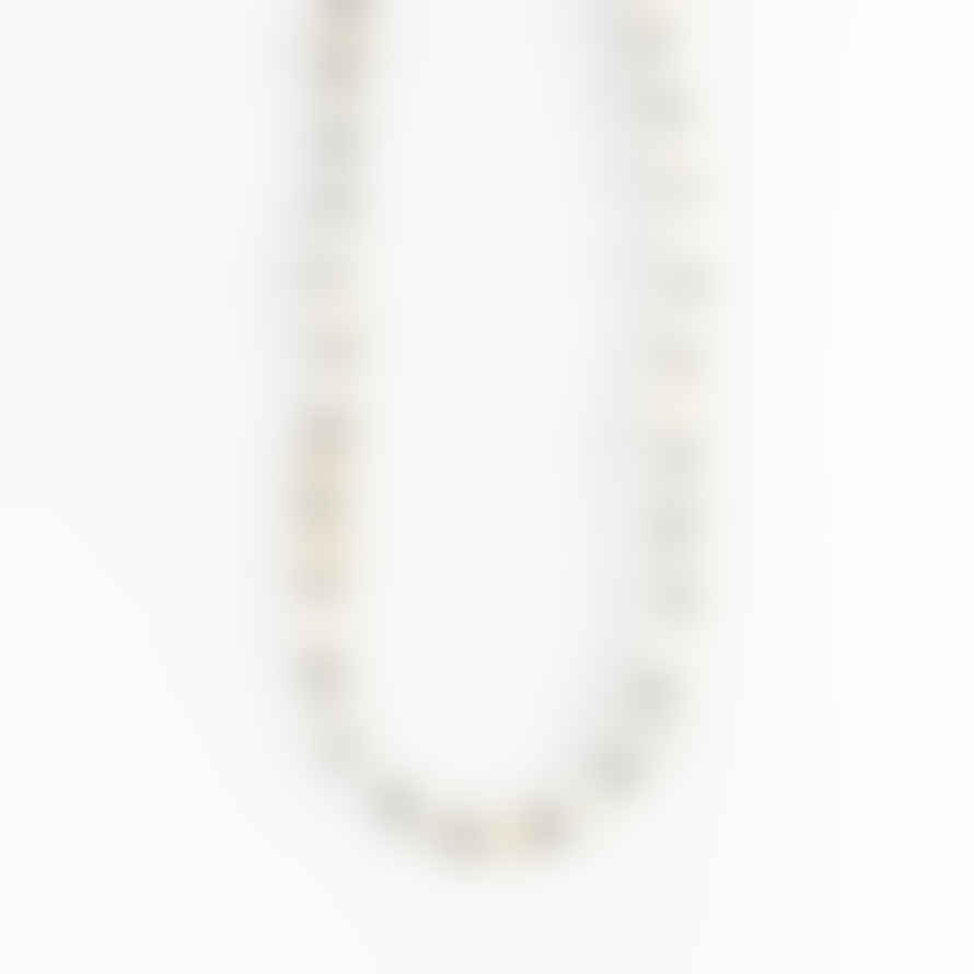 Pineapple Island Livadi Cowrie Shell Choker Necklace In Black