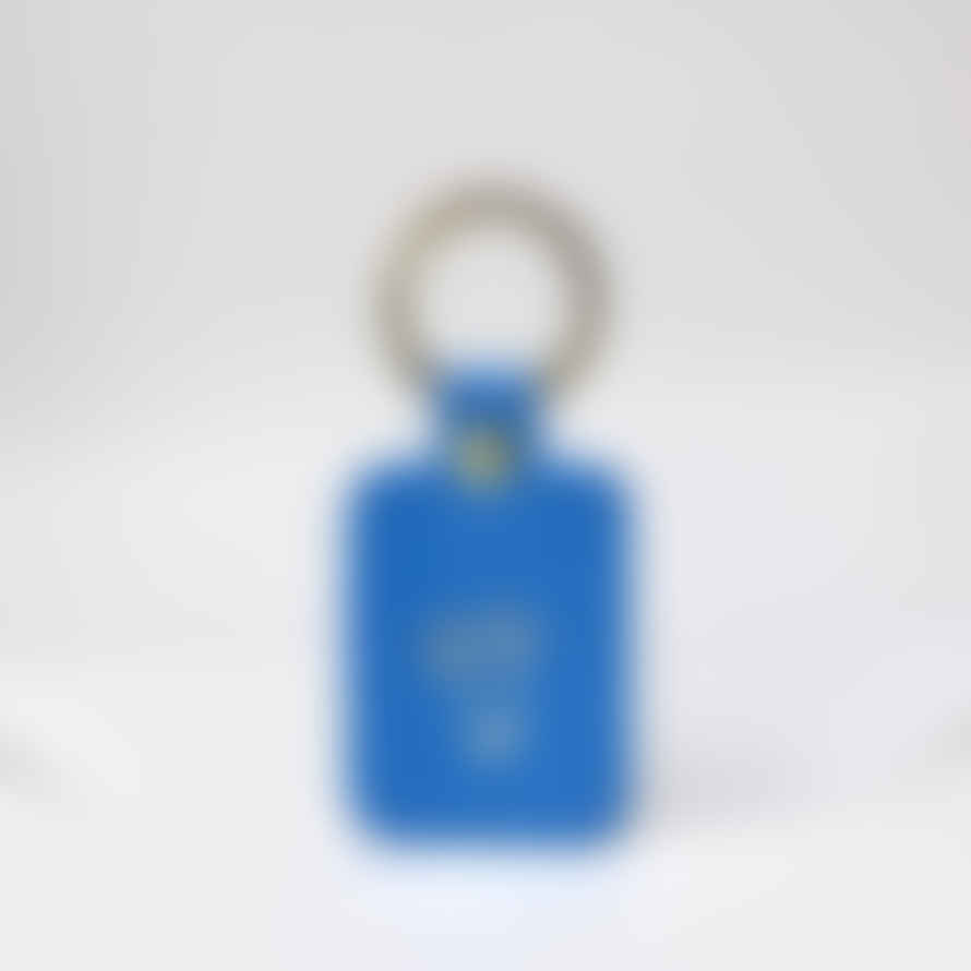 Ark Colour Design Willy Key Fob: Cornflower