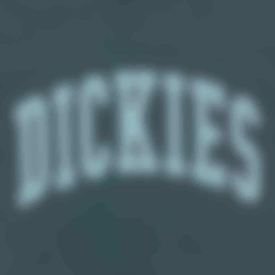 Dickies Aitkin T-Shirt in Green