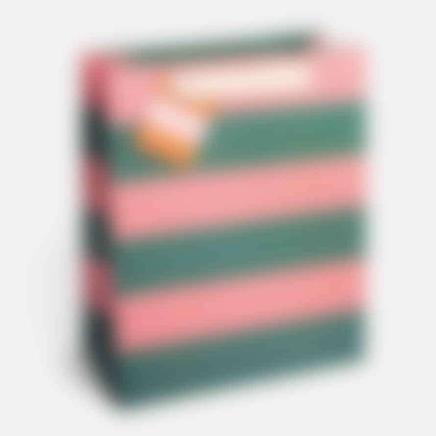 Caroline Gardner Cards Gbm758 Green/pink Stripe Large Gift Bag