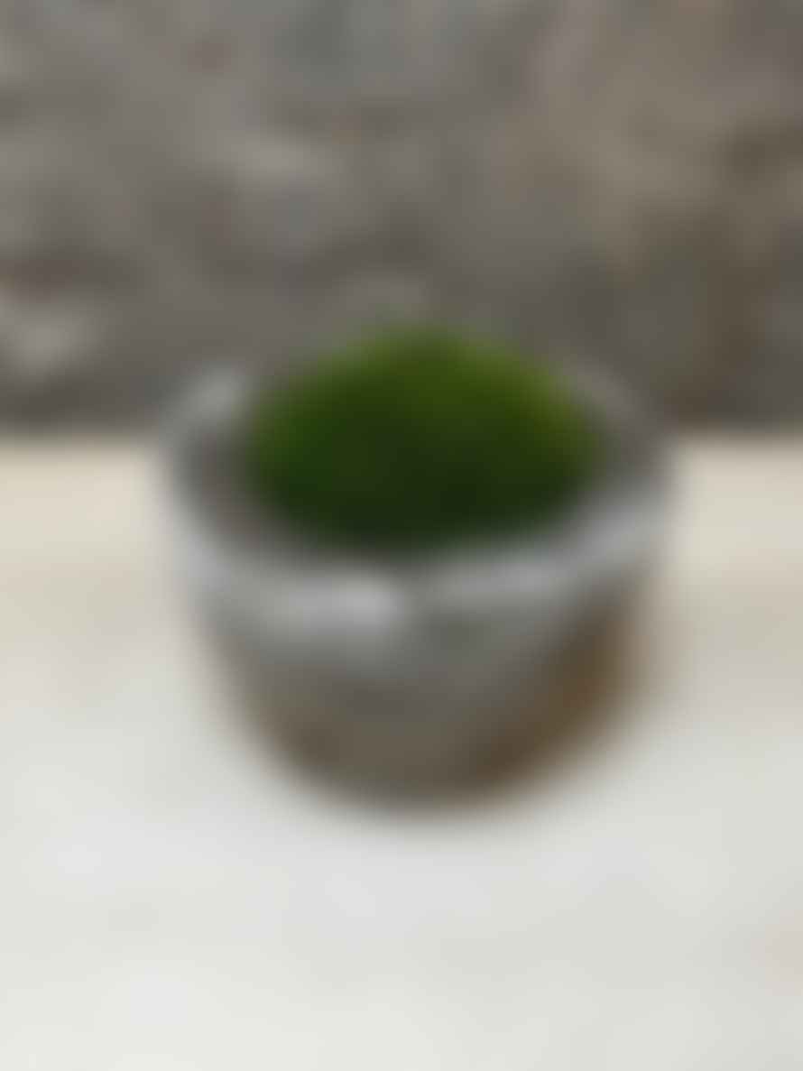 12 Antique Stone Mortar With Moss Fr47