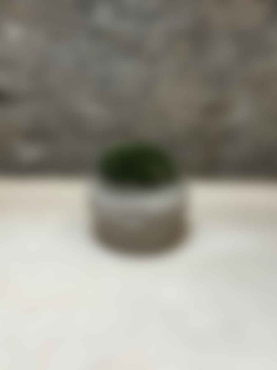 12 Antique Stone Mortar With Moss Fr49