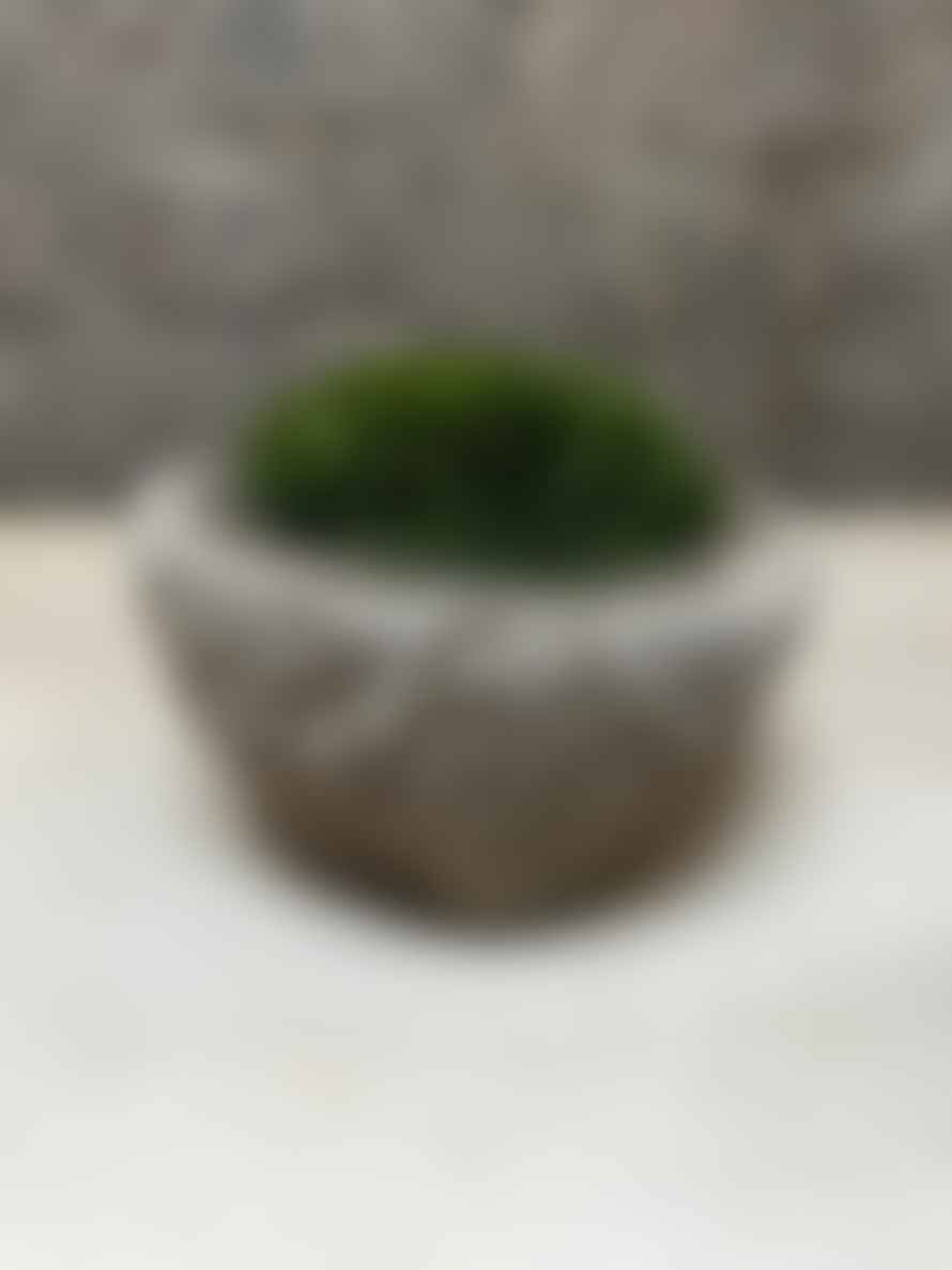 12 Antique Stone Mortar With Moss Fr50