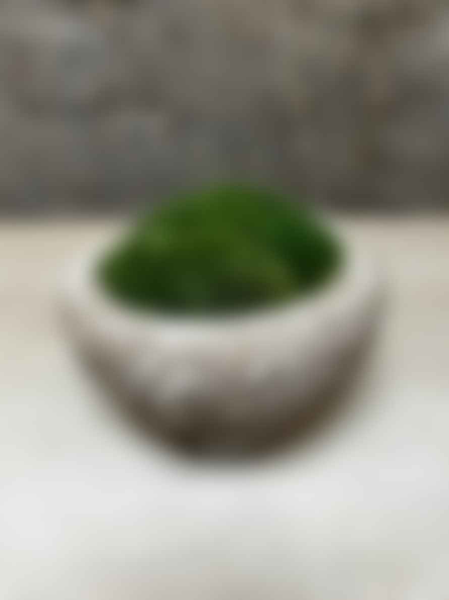 12 Antique Stone Mortar With Moss Fr52