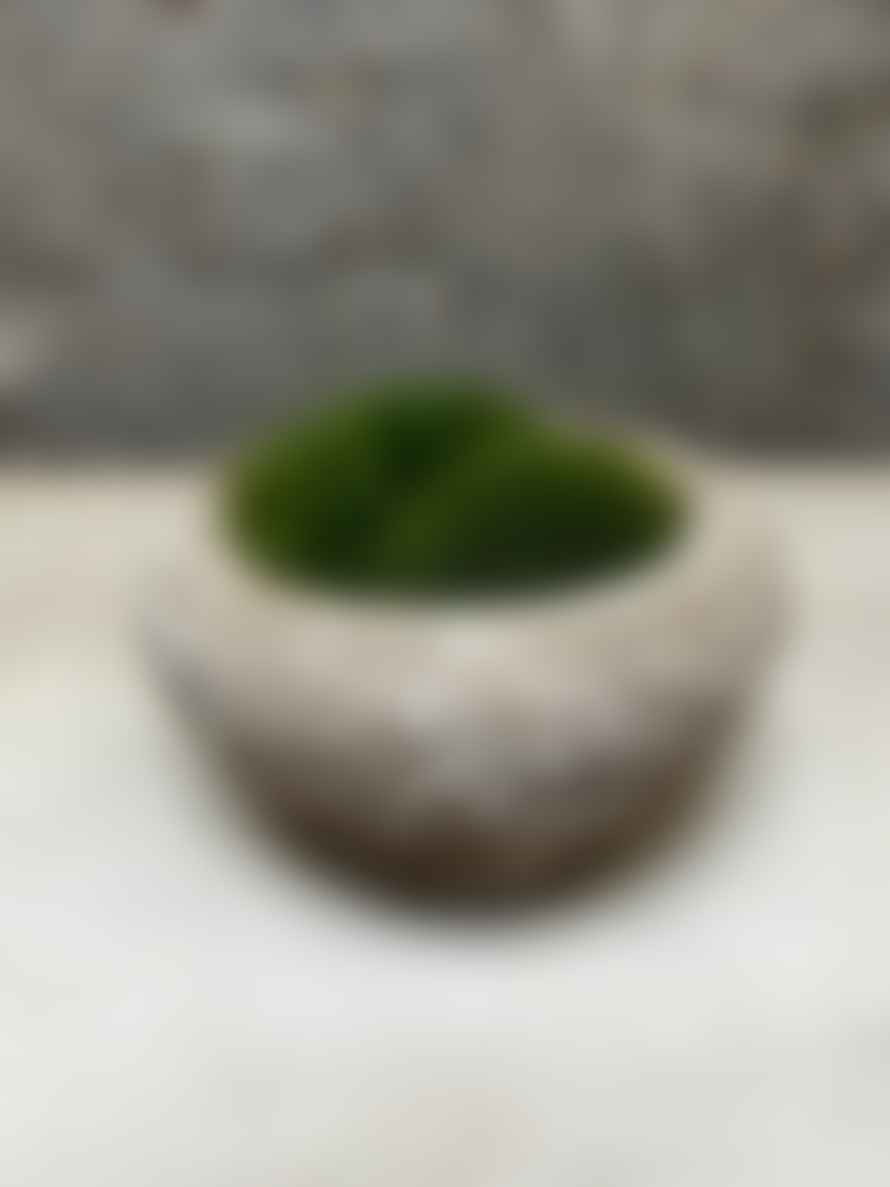 12 Antique Stone Mortar With Moss Fr53