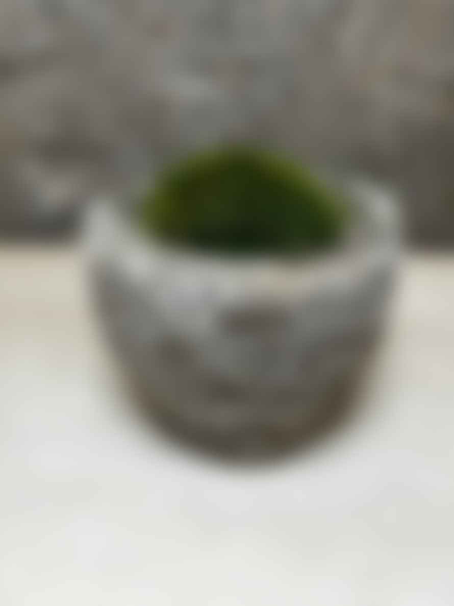 12 Antique Stone Mortar With Moss Fr46