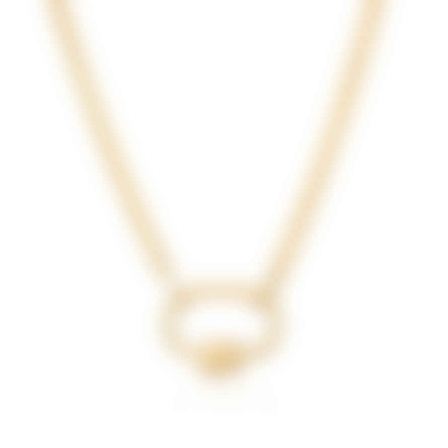 Scream Pretty  Oval Carabiner Curb Chain Necklace - Gold