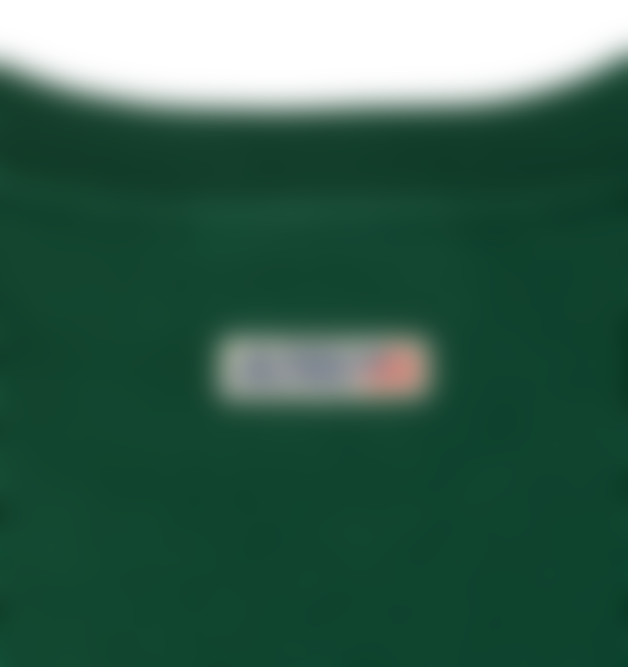 Autry Autry Label Sweatshirt Jersey Green