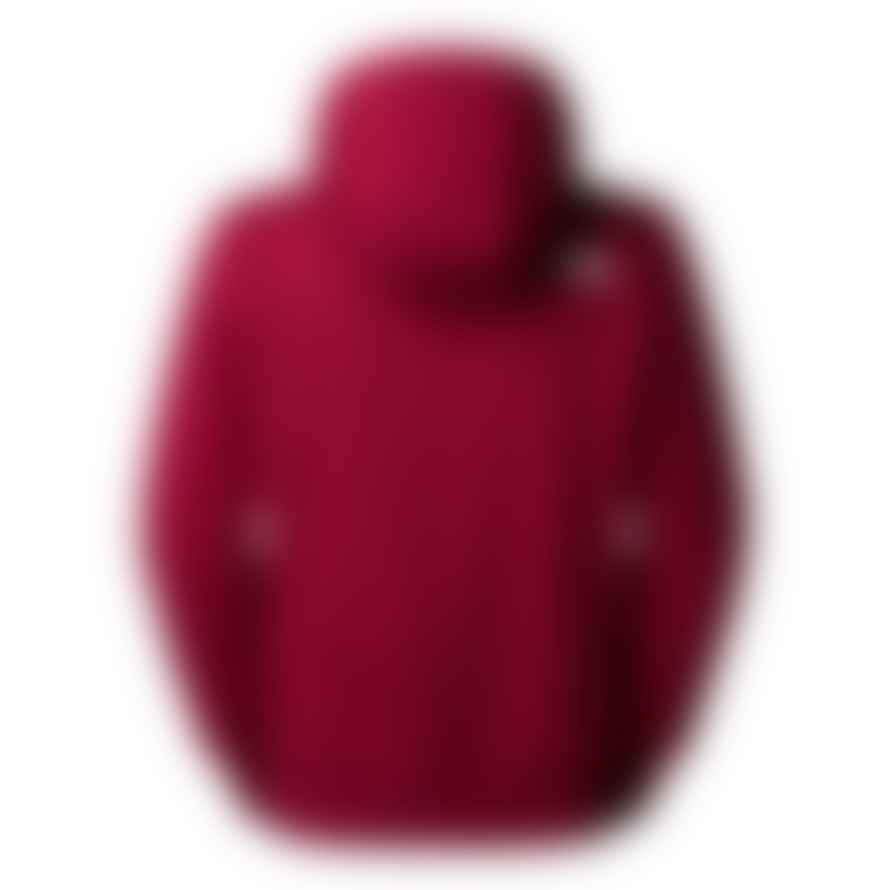 The North Face  Sweat À Capuche Bordeaux