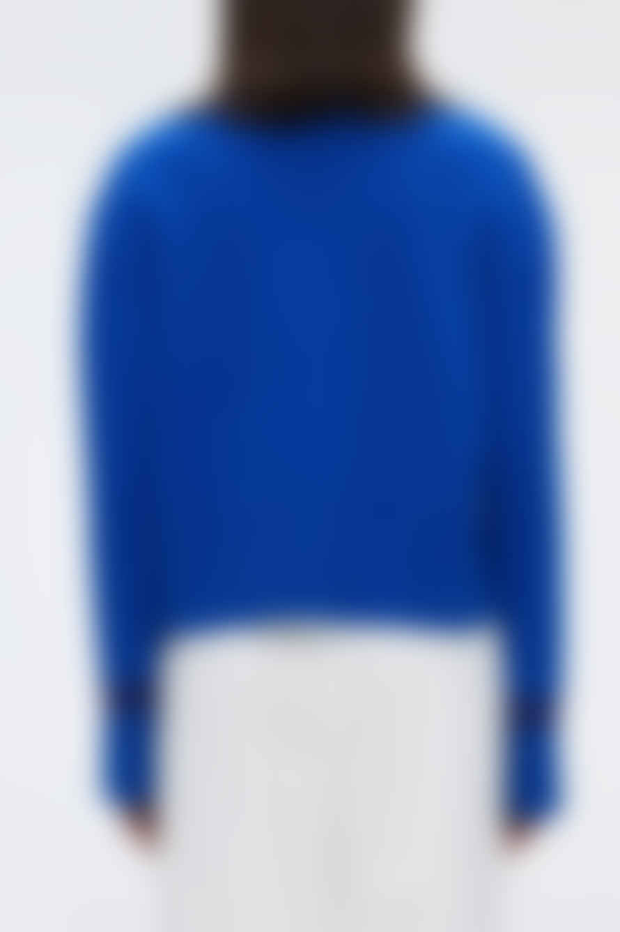 Our Sister Bright Blue Alpes Jumper