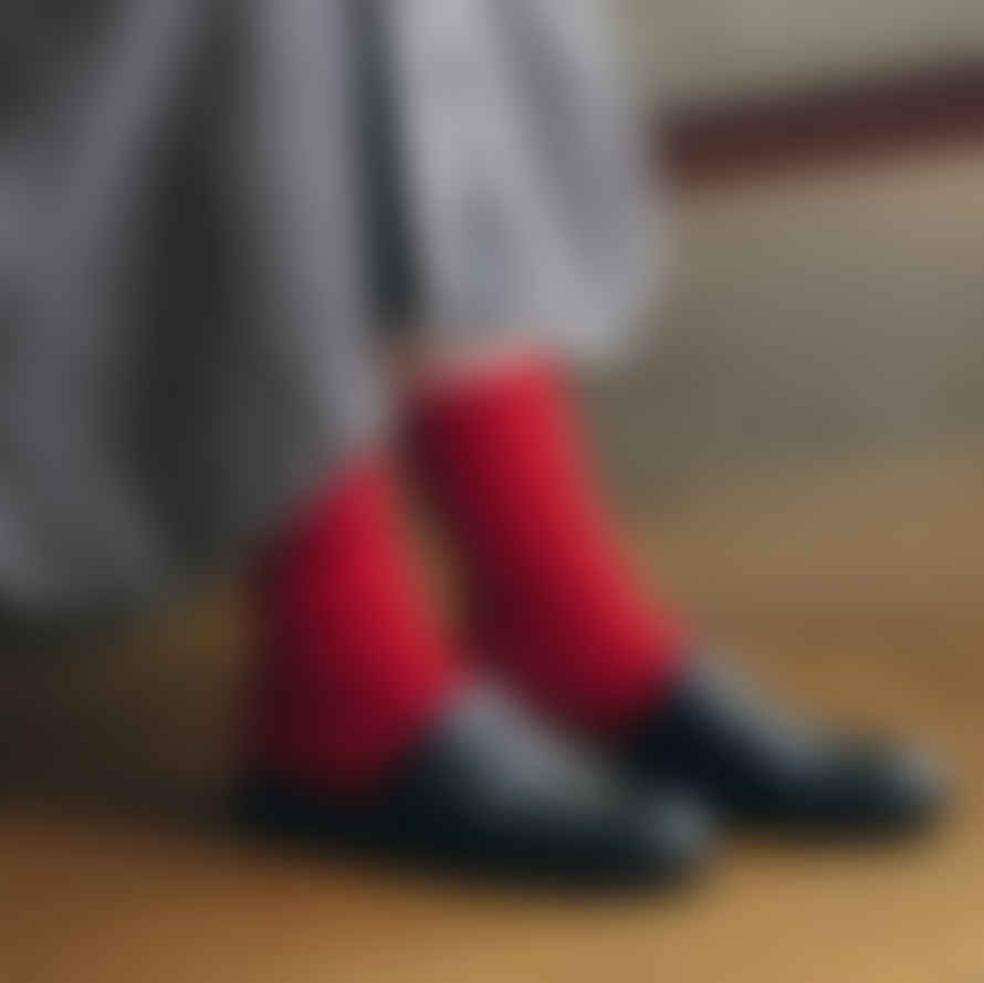 Fog Linen Work Red Mohair Socks