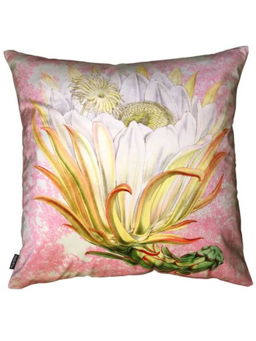 Vanilla Fly Protea Pink Toile Cushion Cover 