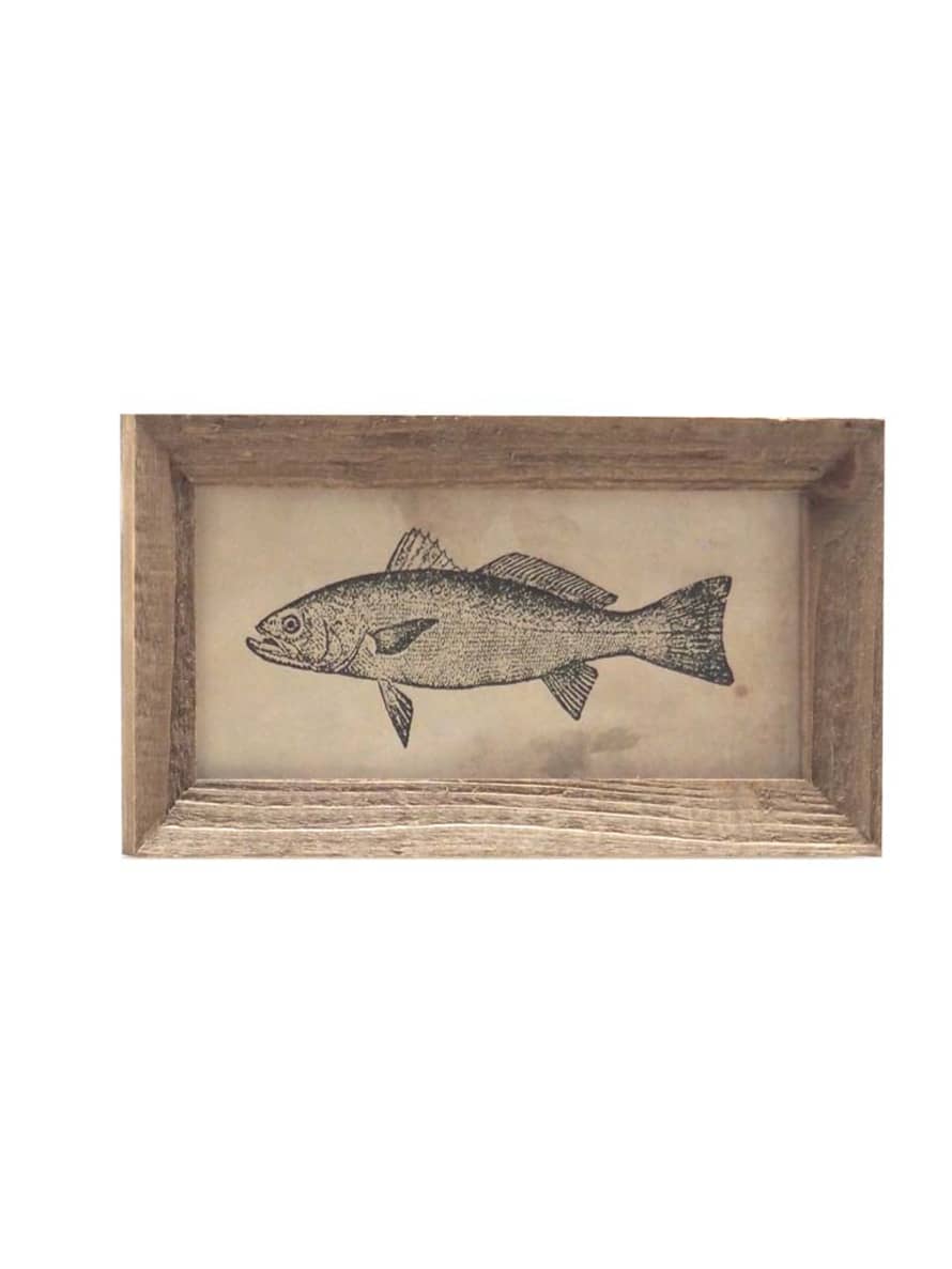 Chehoma Fish Illustration Frame