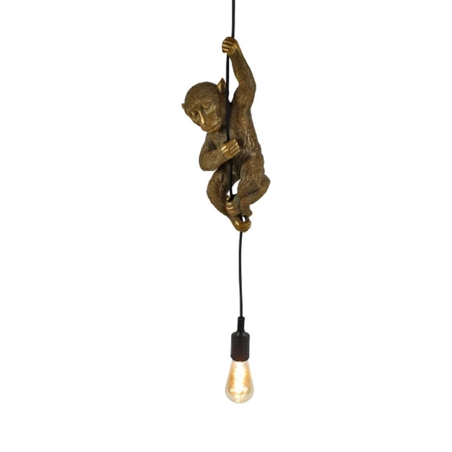 &Quirky Hanging Gold Monkey Ceiling Light