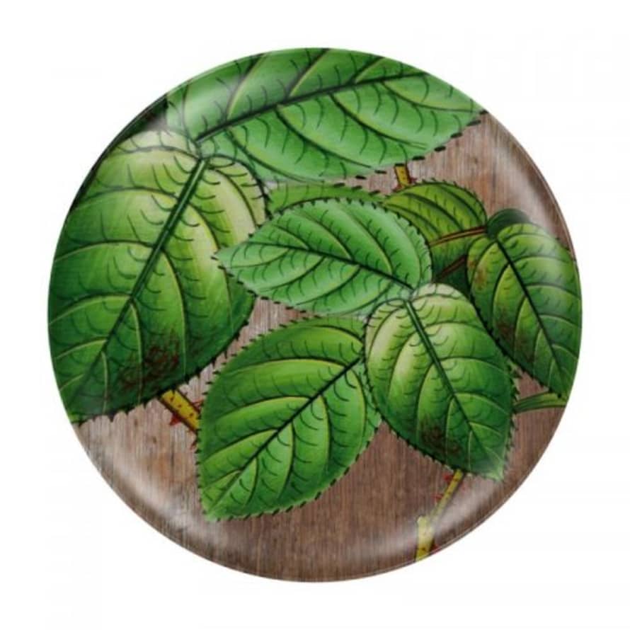 Miho Unexpected Things Melamine Minty Plate