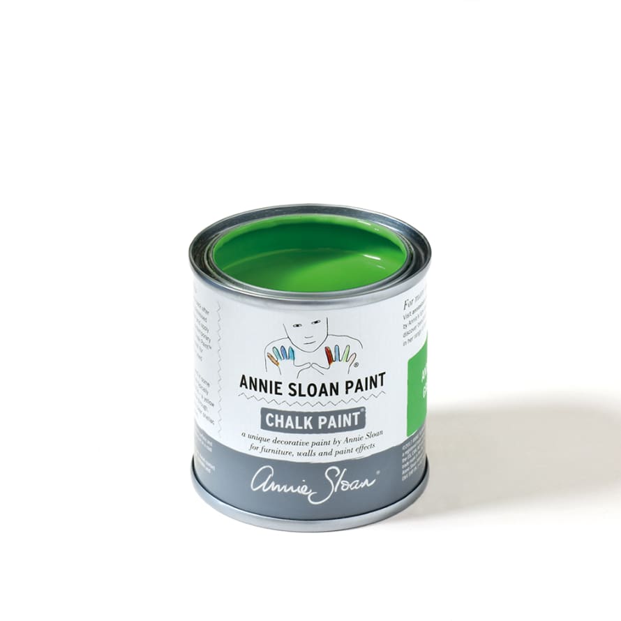 Annie Sloan Antibes Green Chalk Paint - 120ml Project Pot