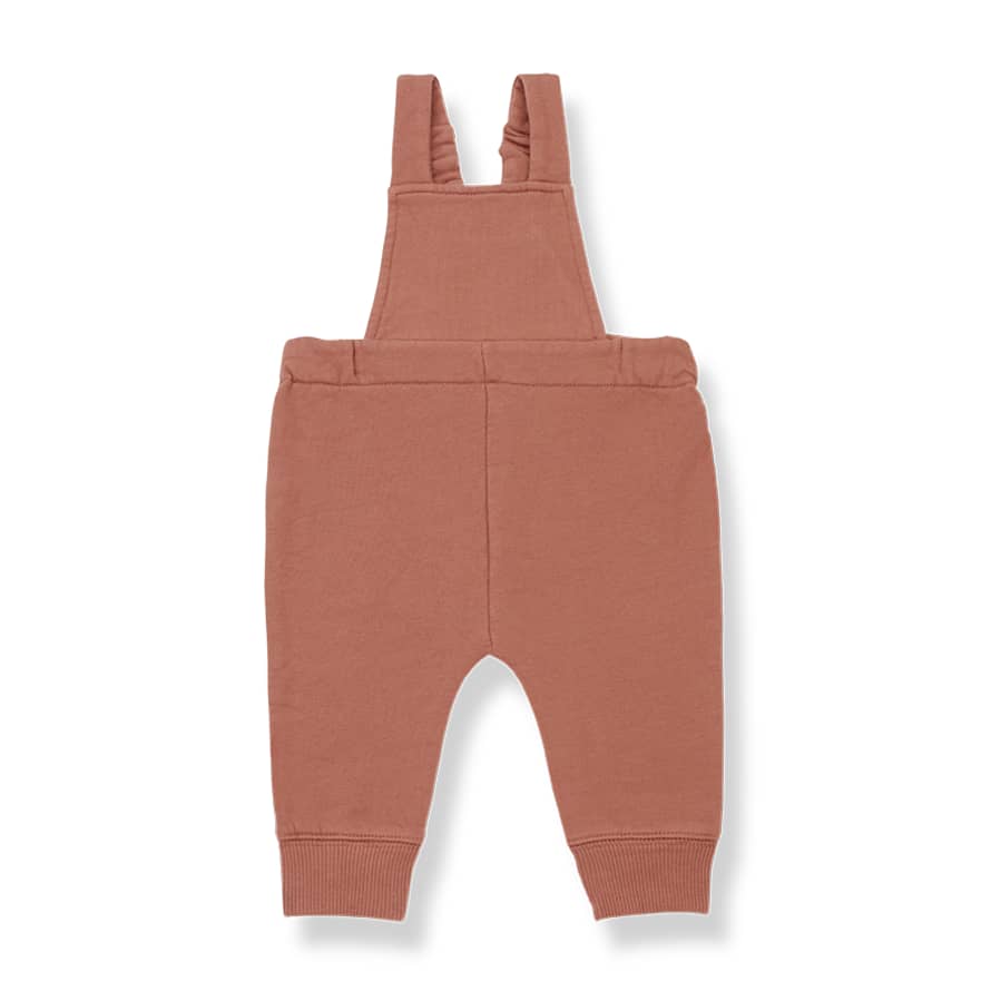 1+ In The Family Toffee Viella Overall