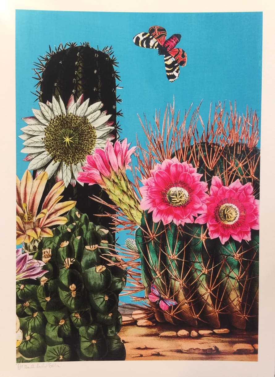 Diana Wilson Arcana Big Cactus II A3 Art Print 