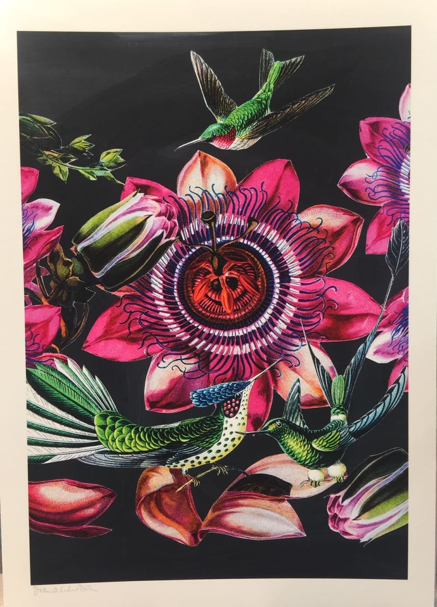 Diana Wilson Arcana Hummingbird A3 Art Print