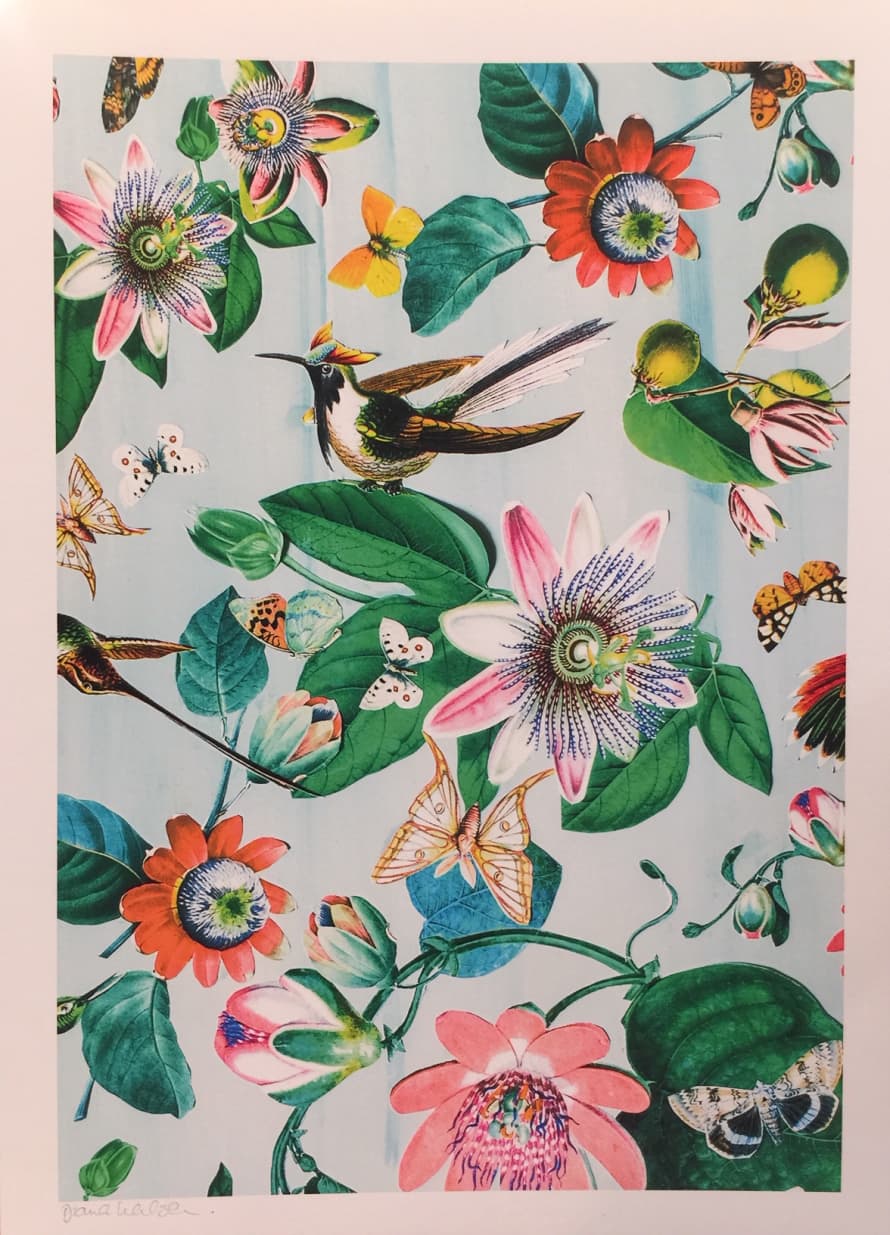 Diana Wilson Arcana Passion Flower A3 Art Print