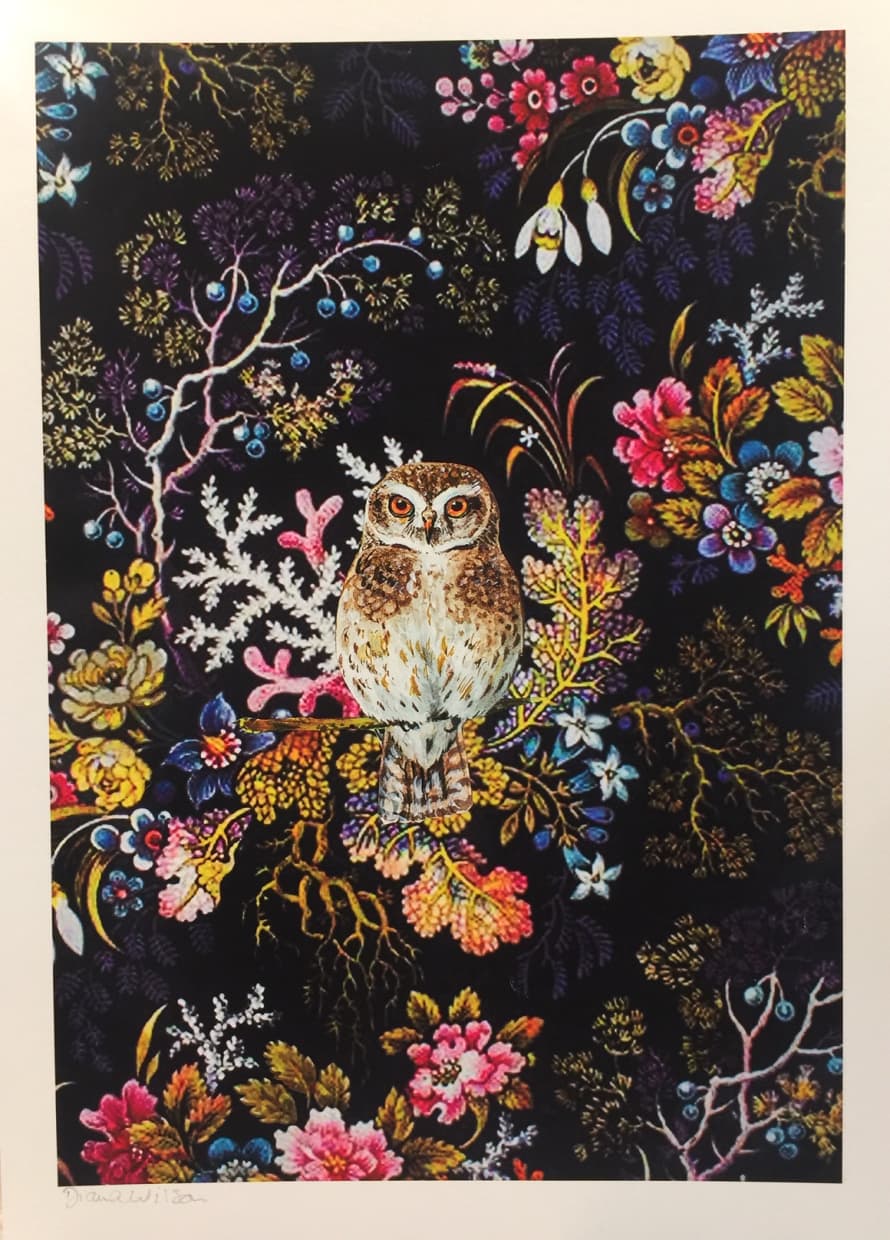 Diana Wilson Arcana Little Owl A3 Art Print