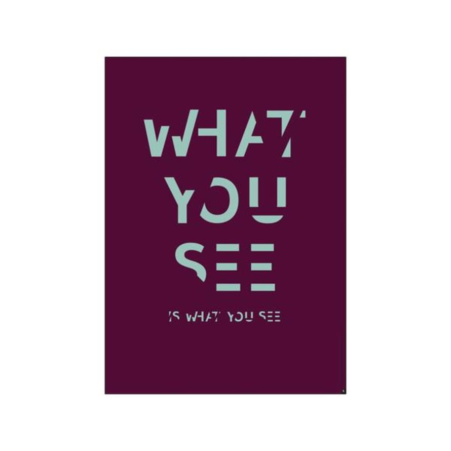 PLTY A3 What You See Is What You See Poster