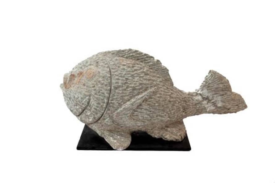 botanicalboysuk Stone Fish