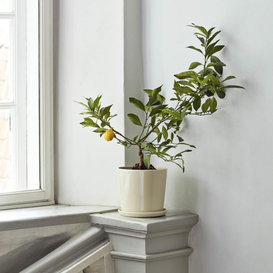 HAY Botanical Family Pot L - Off White