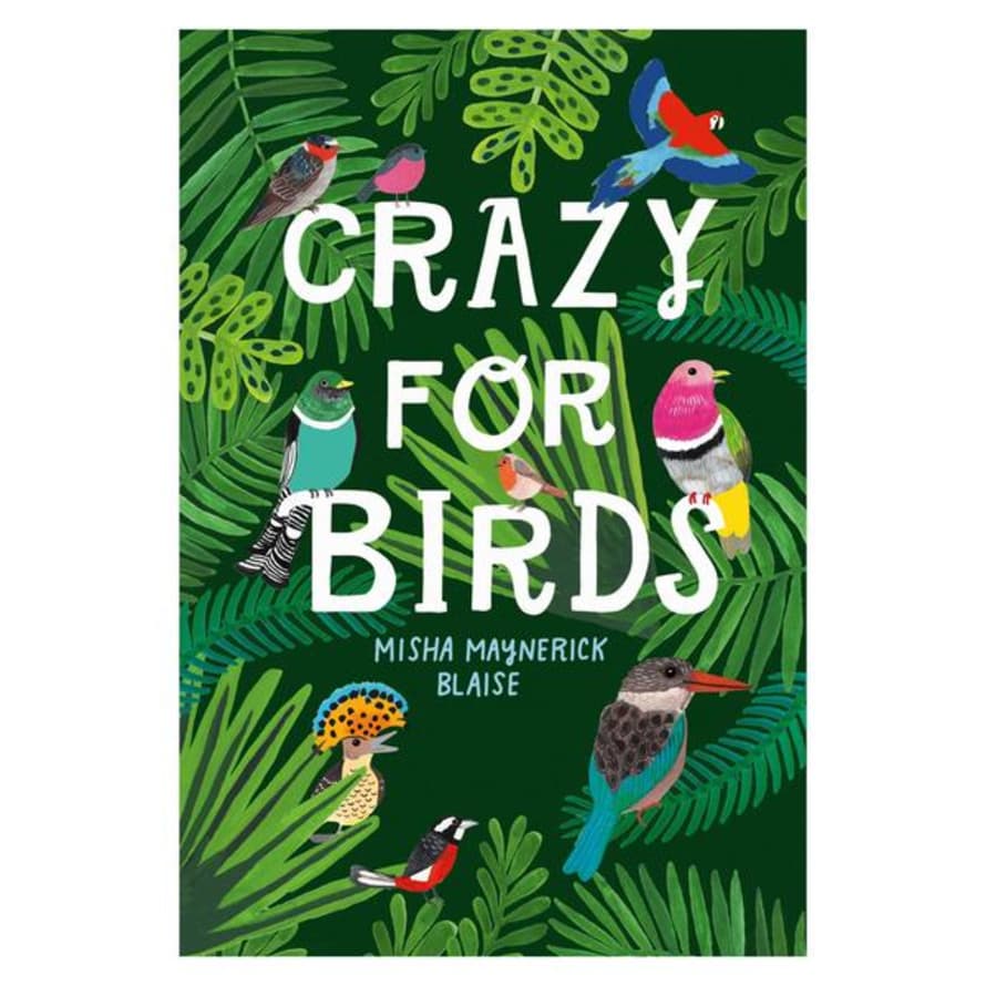Misha Blaise Crazy For Birds Activity Book