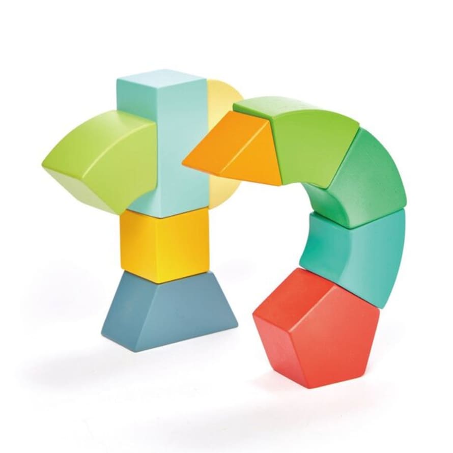 Tender Leaf Toys Set of 10 Magnetic Primary Blocks