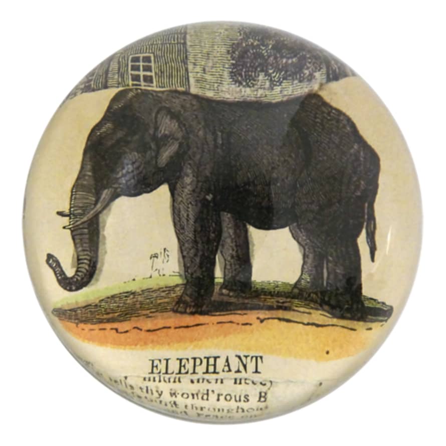 JOHN DERIAN 9cm Elephant Collage Dome Paperweight