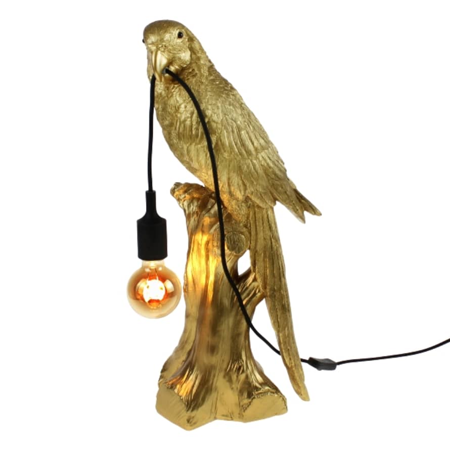 &Quirky Timmy The Parrot Table Lamp