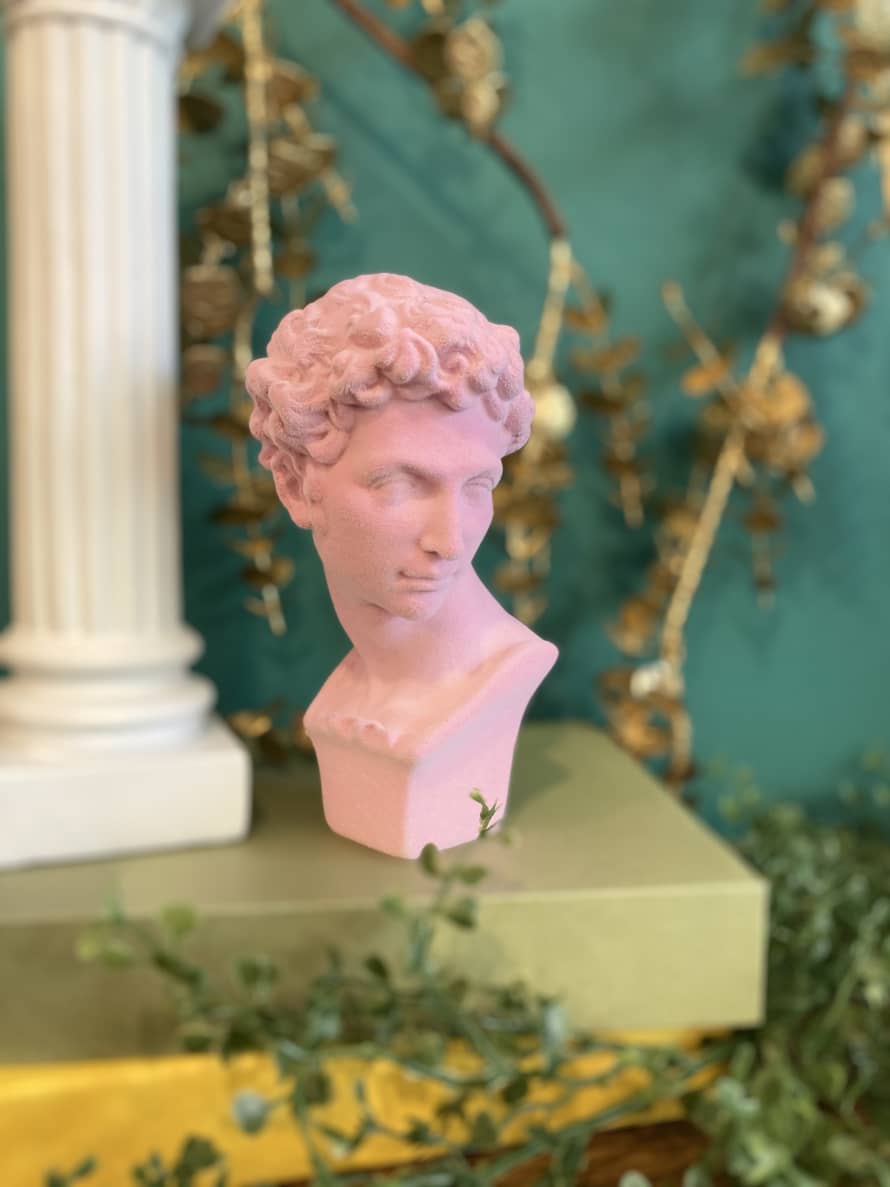 &Quirky Pink Flock Classic Greek Bust