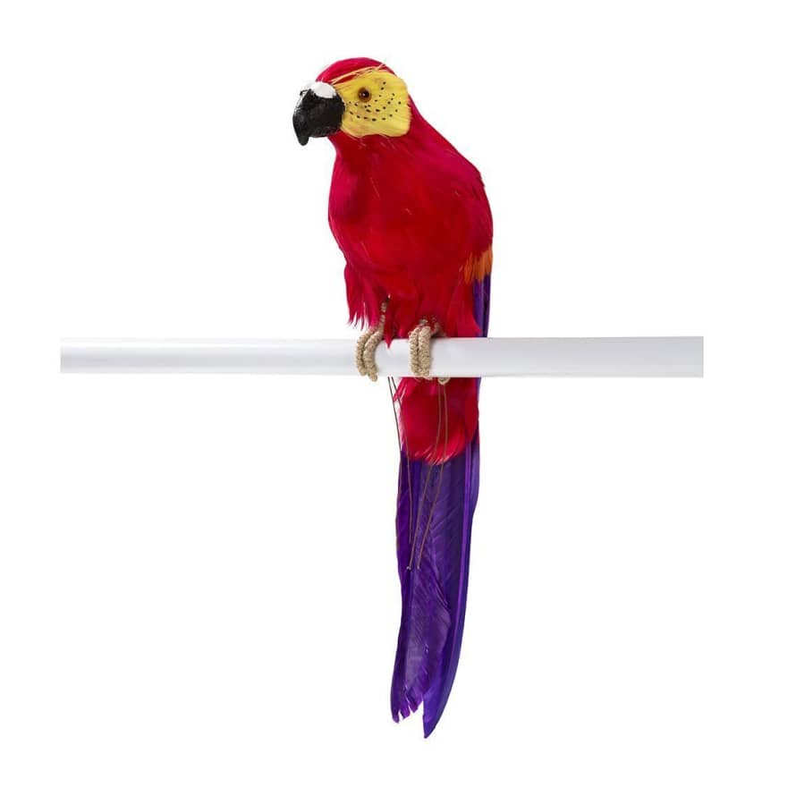 &Quirky Tropical Parrot Decoration : Red, Green or Blue