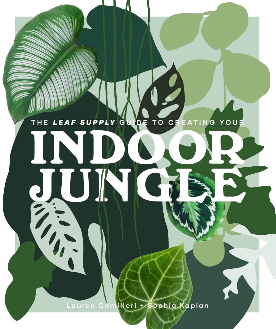 Bookspeed The Leaf Supply Guide To Creating Your Indoor Jungle