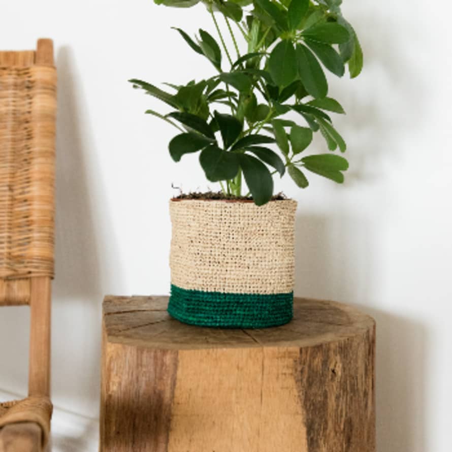 Domoina Medium Green & Natural Raffia Basket - Bottom Stripe