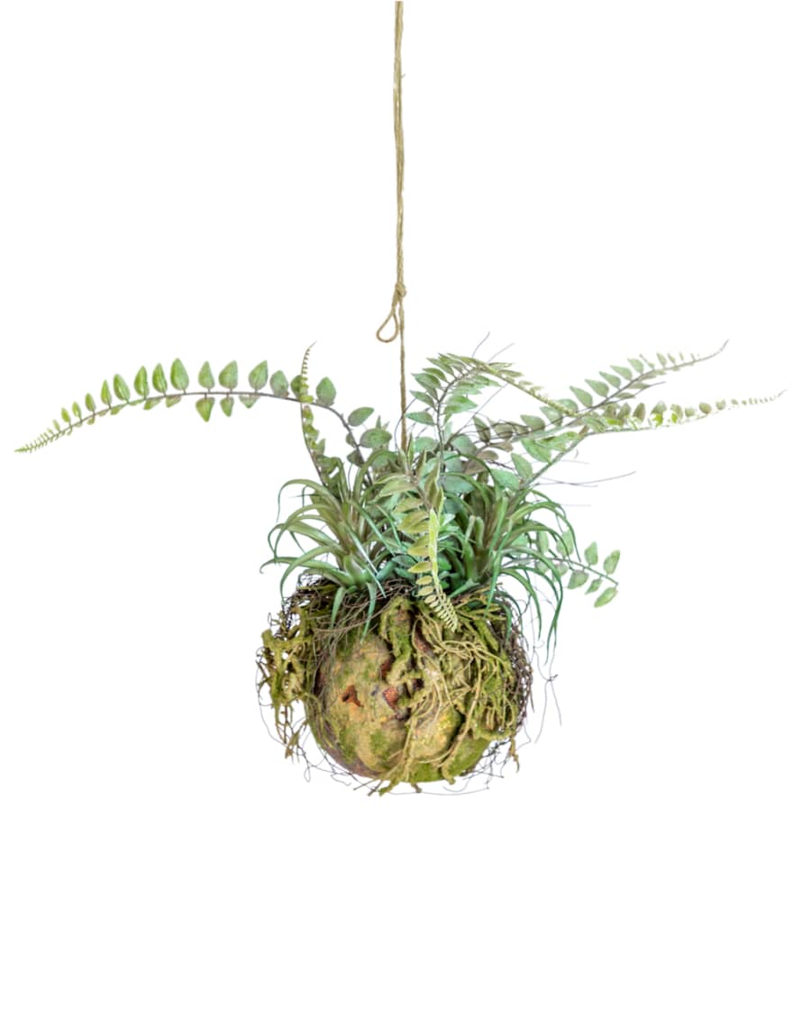 &Quirky Ornamental Hanging Moss Ball With Ferns
