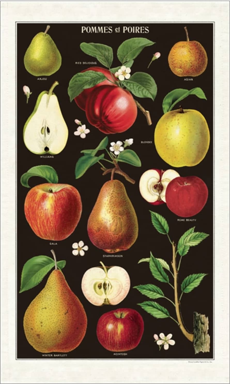 Cavallini & Co Apples & Pears - Tea Towel
