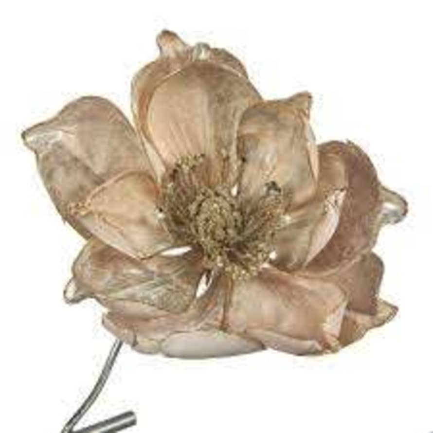 Goodwill  Golden Magnolia with Clip