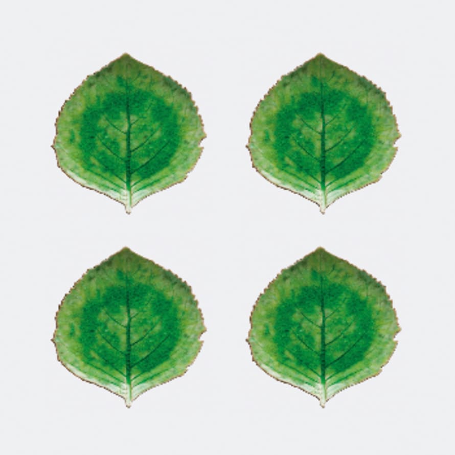 COSTA NOVA Unique Green Glazed Hydrangea Ceramic Leaf - Set of 4