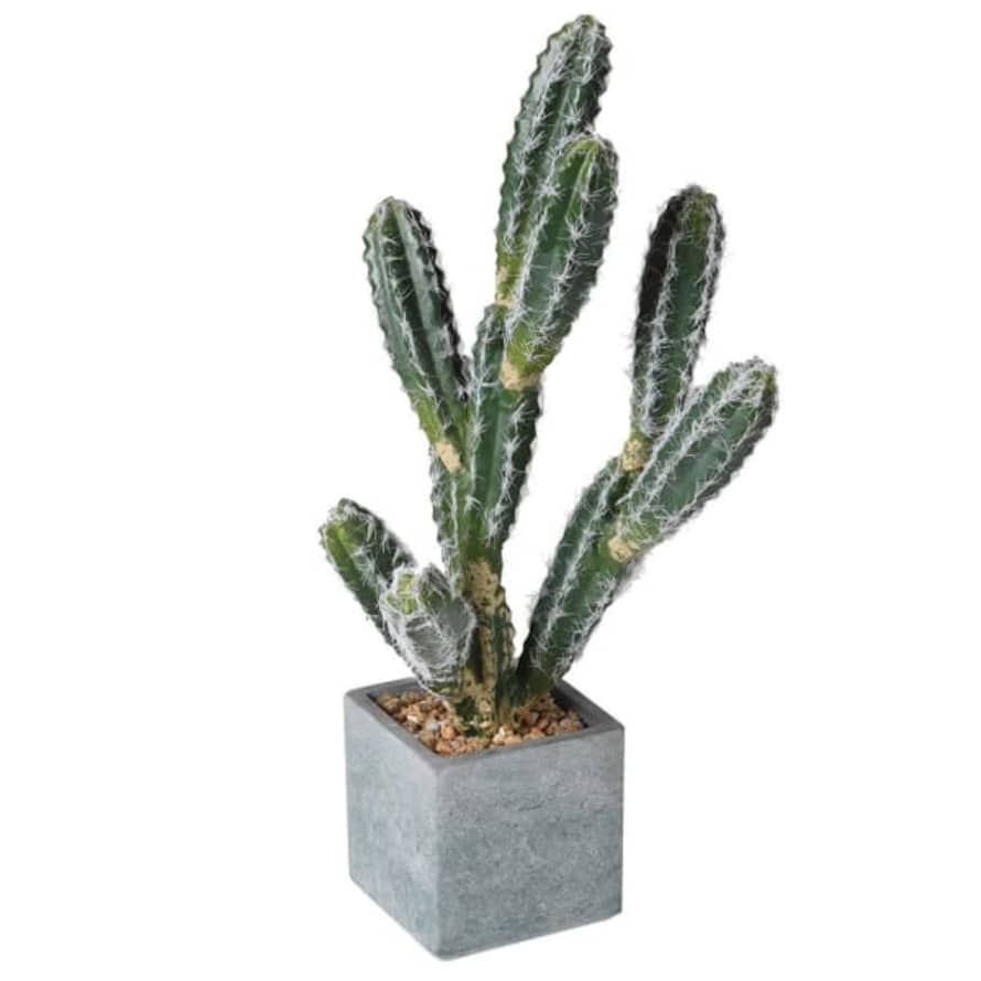 Grace and Grey Green Faux Cactus Plant in Pot