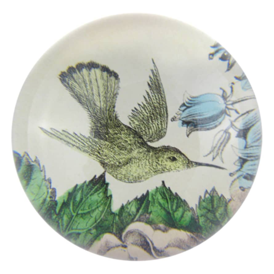 JOHN DERIAN Globe Paperweight Sepia Hummingbird 