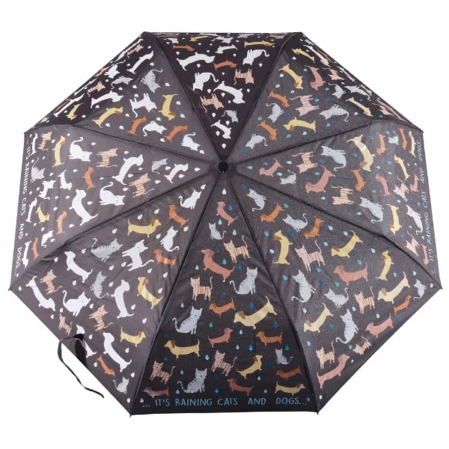 Floss & Rock Floss Rock Big Kids Colour Changing Umbrella Raining Cats Dogs