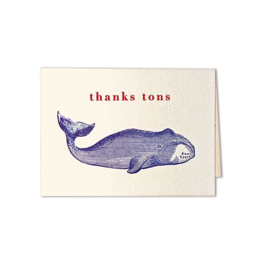 Archivist Thanks Tons Cards Pack Of 5